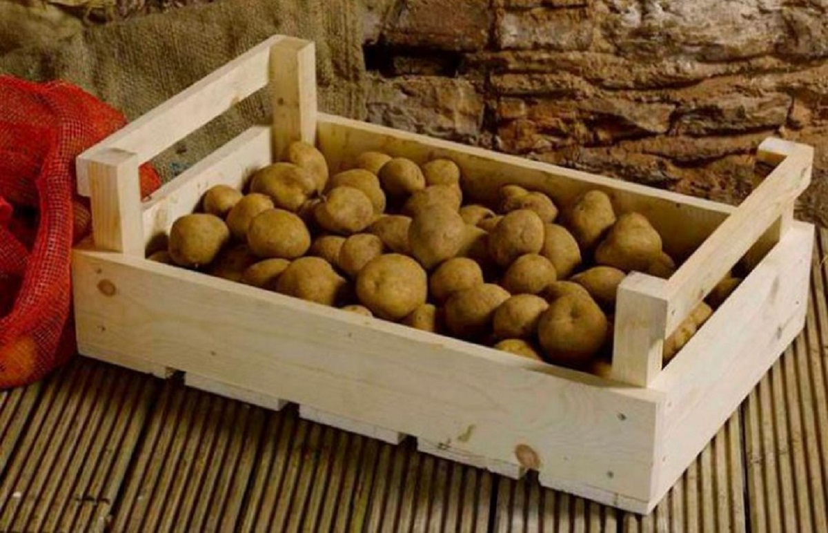 Cum se păstrează cartofii în apartament în timpul - Retete Usoare