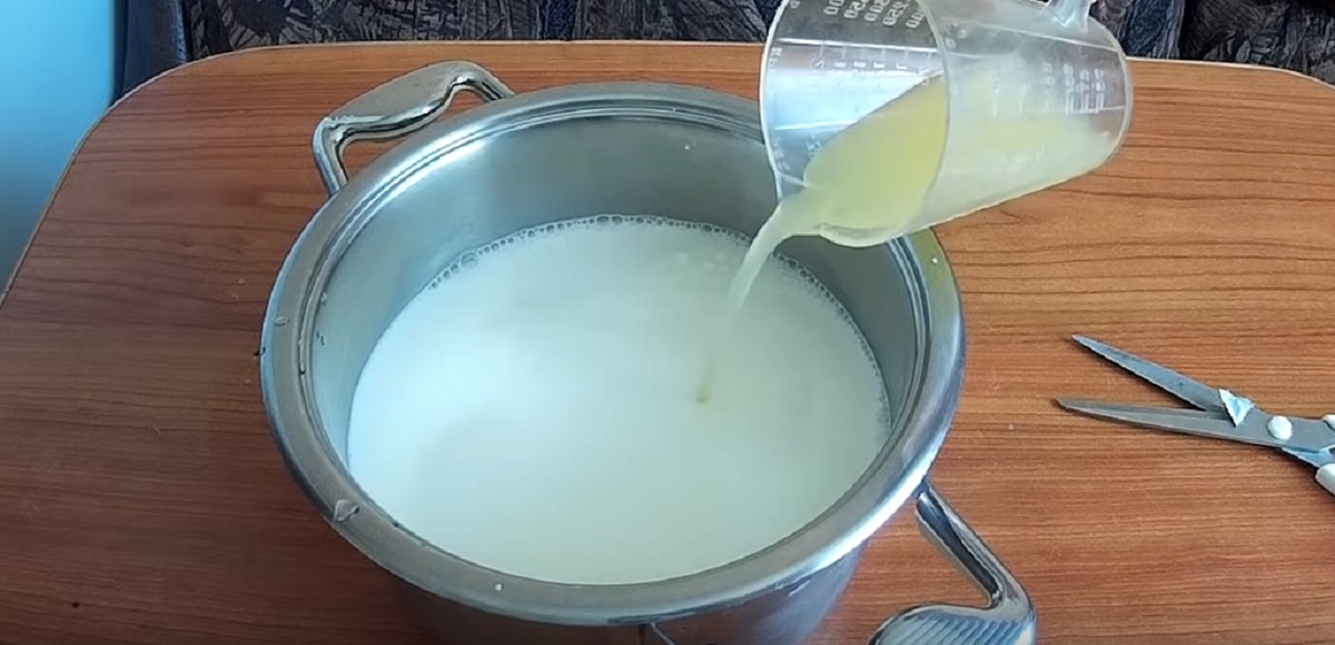 Как приготовить творог из домашнего коровьего молока. Домашний творог из молока. Творог домашний приготовление из молока. Как приготовить творог из молока. Как сделать творог из молока и лимона.