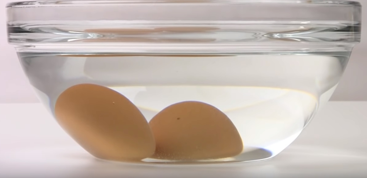 Перепелиные яйца всплыли в холодной воде. Яйцо в воде. Плавающее яйцо. Яйцо в соленой воде. Водяные яйца.